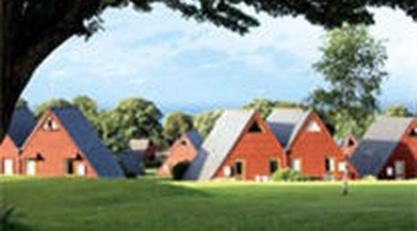 pet dog friendly holiday cottages, Bude, Cornwall