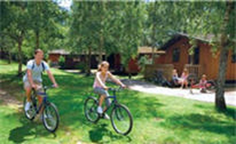 holiday lodge in dorset
