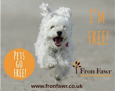 pet friendly holiday cottages in wales