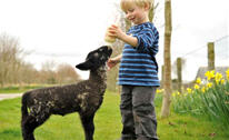 lostwithiel holiday cottages