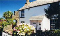 pet friendly devon holidays