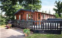 new forest accommodation