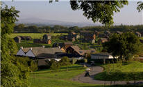 bluestone wales